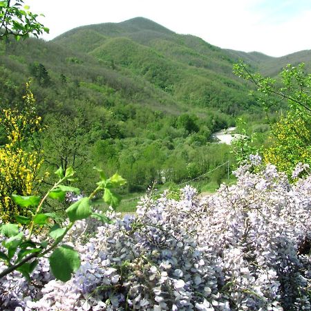 Agriturismo Il Giglio E La Rosa Villa Montale  Eksteriør billede