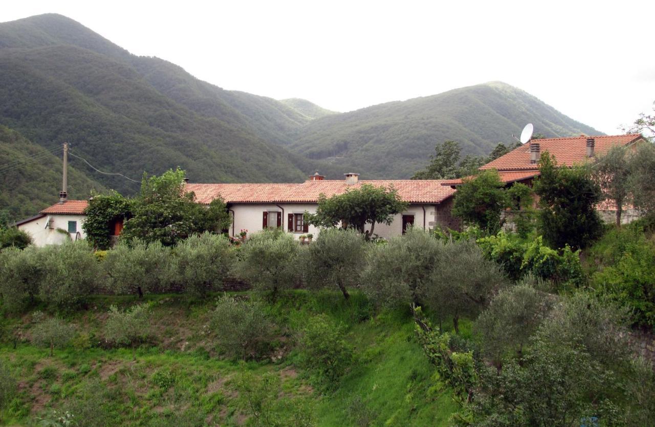 Agriturismo Il Giglio E La Rosa Villa Montale  Værelse billede