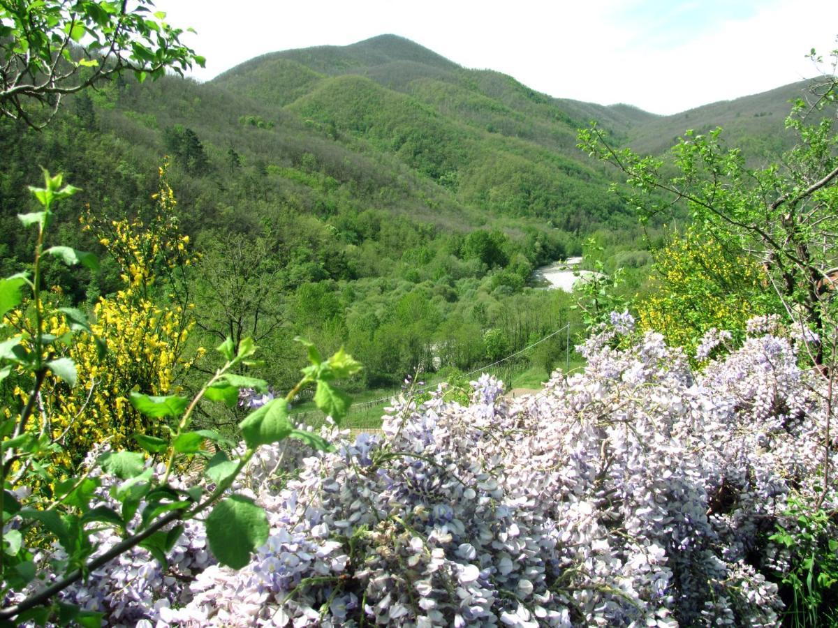 Agriturismo Il Giglio E La Rosa Villa Montale  Eksteriør billede